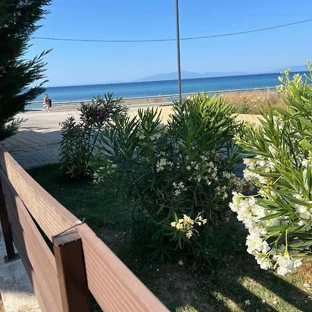 The Sea Stars, Front House Tatil Evi